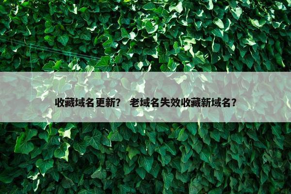 收藏域名更新？ 老域名失效收藏新域名？