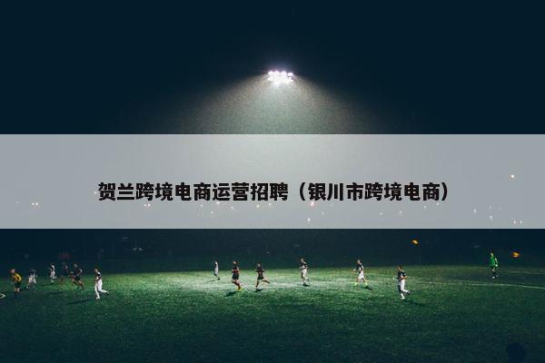 贺兰跨境电商运营招聘（银川市跨境电商）