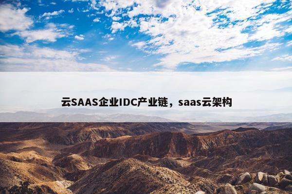 云SAAS企业IDC产业链，saas云架构