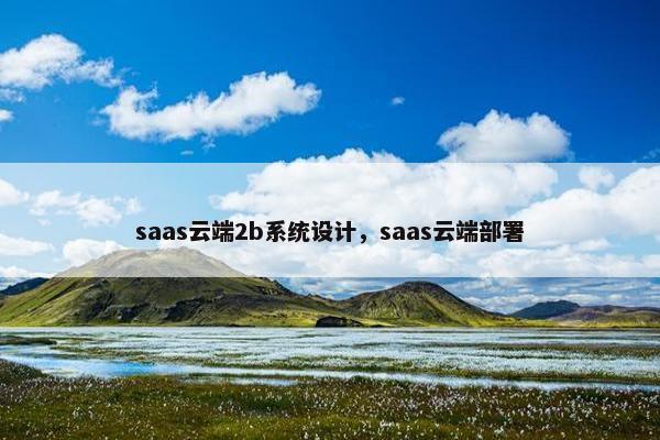 saas云端2b系统设计，saas云端部署