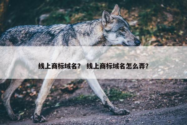 线上商标域名？ 线上商标域名怎么弄？