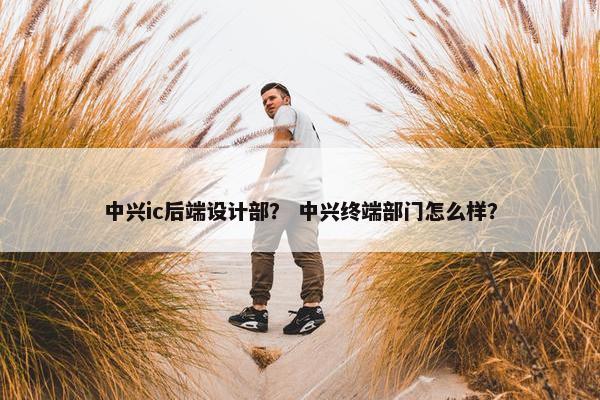 中兴ic后端设计部？ 中兴终端部门怎么样？