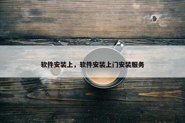 软件安装上，软件安装上门安装服务