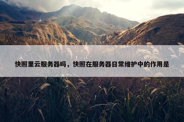 快照里云服务器吗，快照在服务器日常维护中的作用是