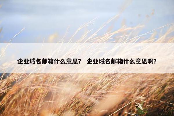 企业域名邮箱什么意思？ 企业域名邮箱什么意思啊？