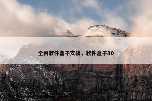 全网软件盒子安装，软件盒子80