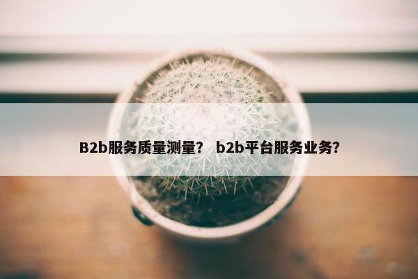 B2b服务质量测量？ b2b平台服务业务？