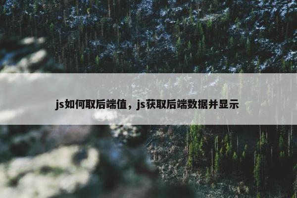 js如何取后端值，js获取后端数据并显示
