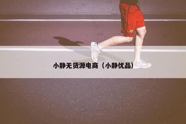 小静无货源电商(小静优品)