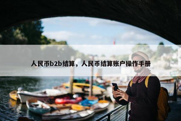 人民币b2b结算,人民币结算账户操作手册