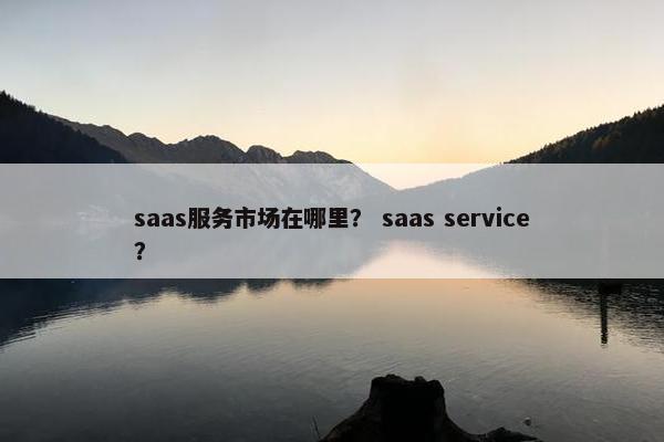 saas服务市场在哪里? saas service?