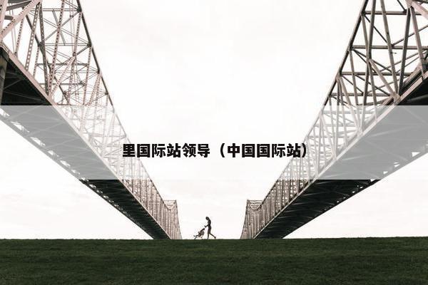 里国际站领导(中国国际站)