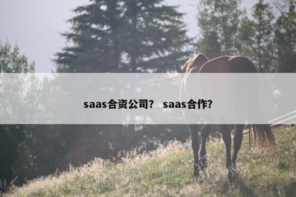 saas合资公司？ saas合作？