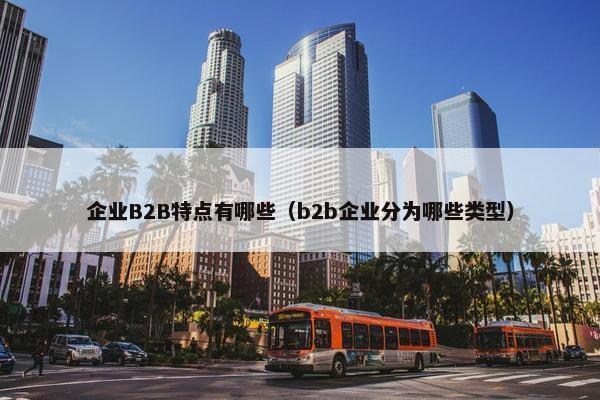 企业B2B特点有哪些（b2b企业分为哪些类型）