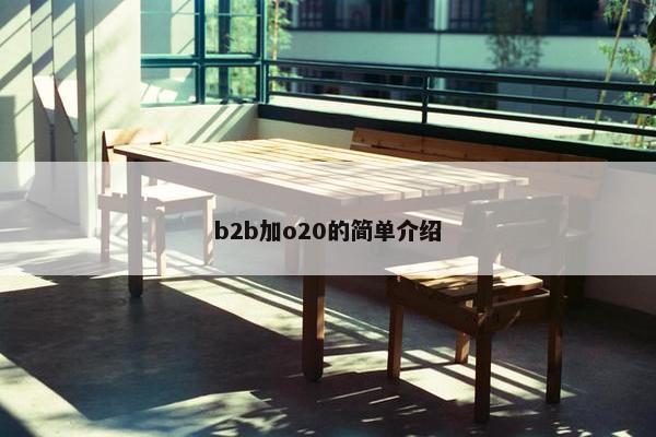 b2b加o20的简单介绍