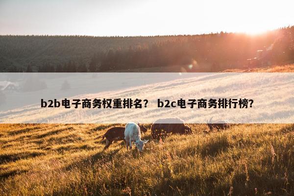 b2b电子商务权重排名? b2c电子商务排行榜?