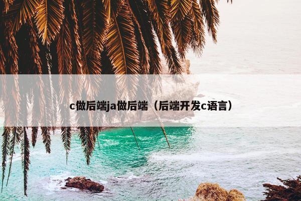 c做后端ja做后端（后端开发c语言）