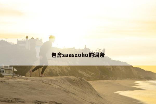 包含saaszoho的词条