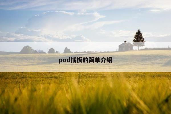 pod插板的简单介绍