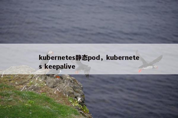 kubernetes静态pod,kubernetes keepalive