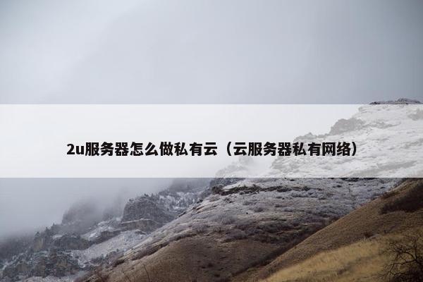 2u服务器怎么做私有云(云服务器私有网络)