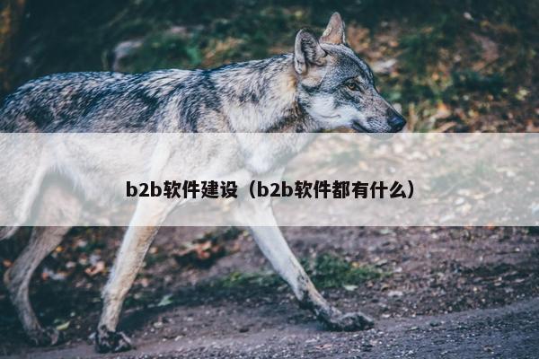 b2b软件建设（b2b软件都有什么）