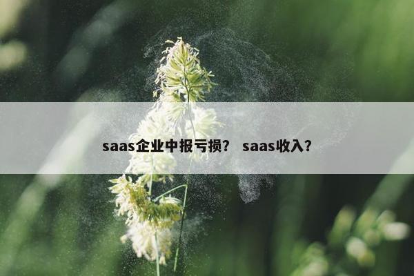 saas企业中报亏损？ saas收入？