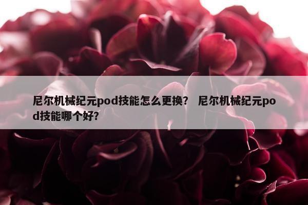 尼尔机械纪元pod技能怎么更换？ 尼尔机械纪元pod技能哪个好？