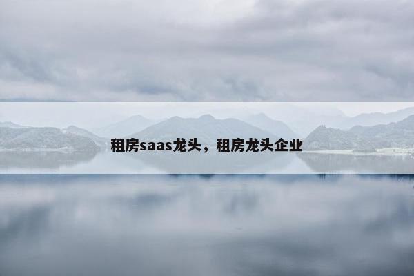 租房saas龙头，租房龙头企业