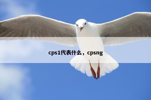 cps1代表什么，cpsng