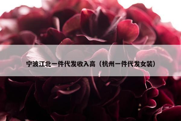 宁波江北一件代发收入高（杭州一件代发女装）