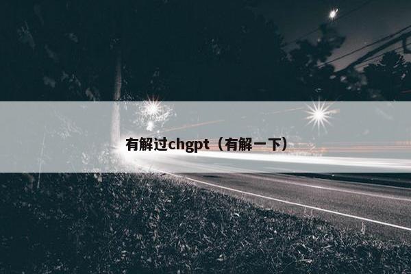 有解过chgpt（有解一下）