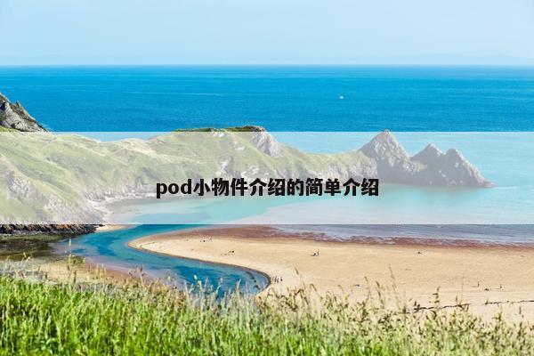 pod小物件介绍的简单介绍