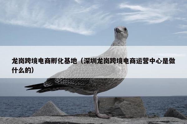 龙岗跨境电商孵化基地(深圳龙岗跨境电商运营中心是做什么的)