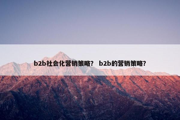 b2b社会化营销策略？ b2b的营销策略？