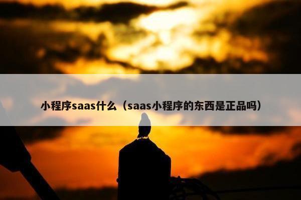 小程序saas什么(saas小程序的东西是正品吗)