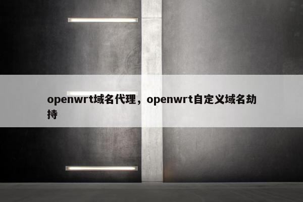 openwrt域名代理，openwrt自定义域名劫持