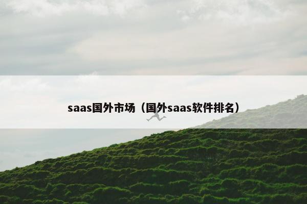 saas国外市场（国外saas软件排名）