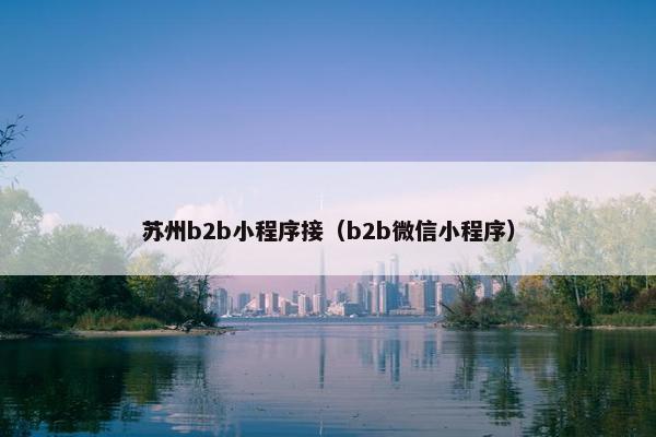 苏州b2b小程序接（b2b微信小程序）
