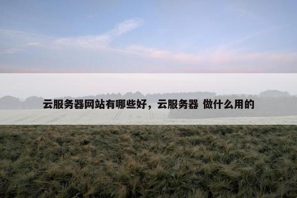 云服务器网站有哪些好，云服务器 做什么用的