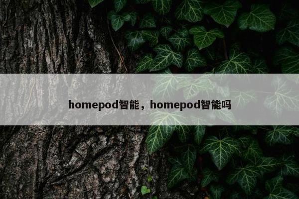 homepod智能，homepod智能吗