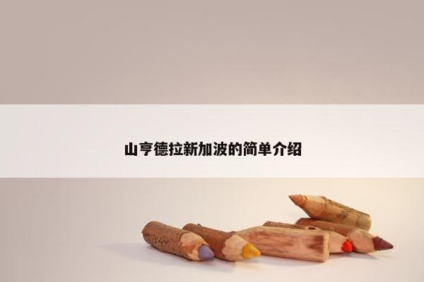 山亨德拉新加波的简单介绍