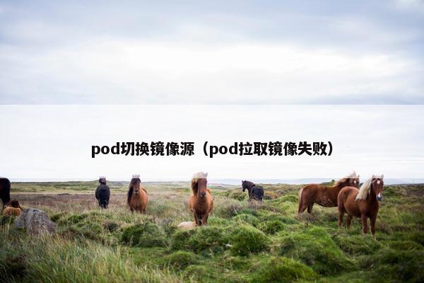 pod切换镜像源（pod拉取镜像失败）