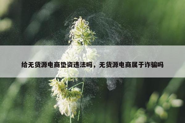给无货源电商垫资违法吗，无货源电商属于诈骗吗