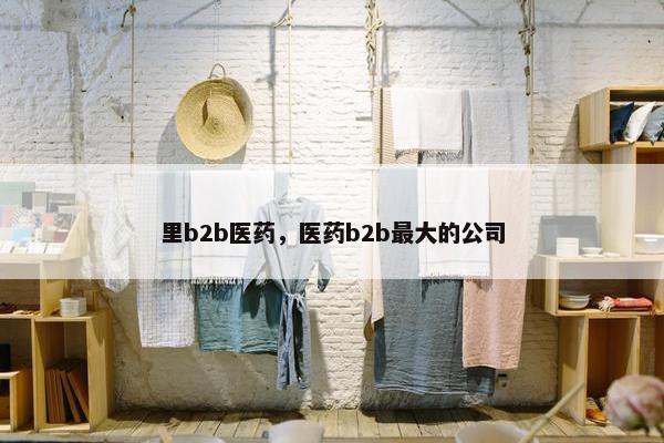 里b2b医药，医药b2b最大的公司