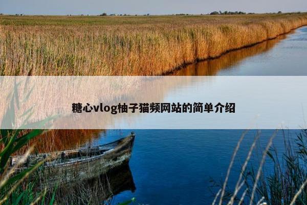 糖心vlog柚子猫频网站的简单介绍