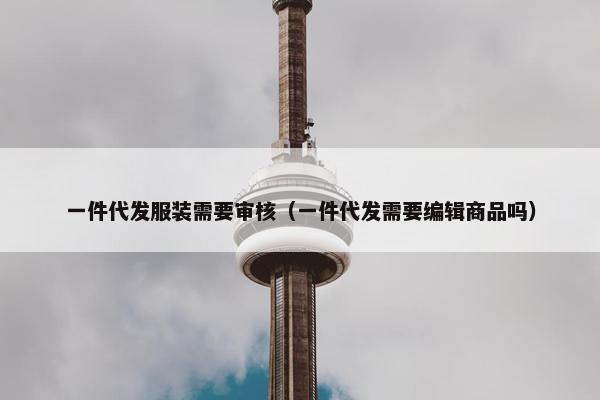 一件代发服装需要审核（一件代发需要编辑商品吗）