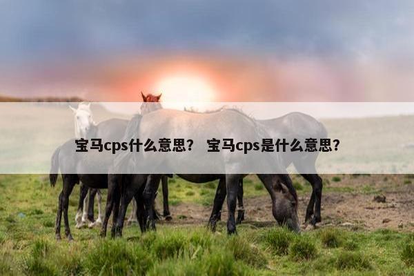 宝马cps什么意思？ 宝马cps是什么意思？