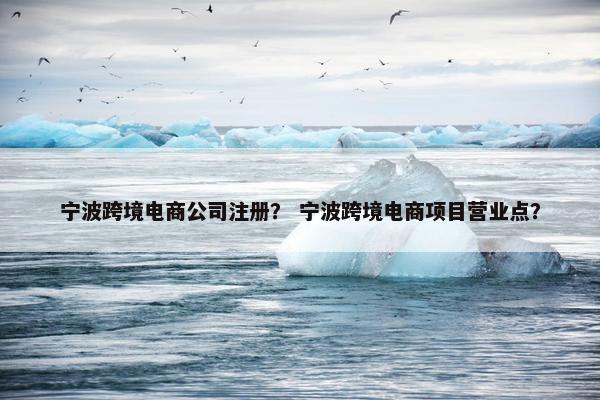 宁波跨境电商公司注册？ 宁波跨境电商项目营业点？