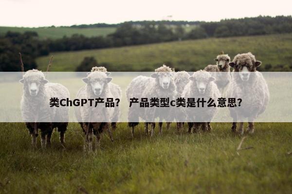 类ChGPT产品？ 产品类型c类是什么意思？